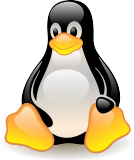 Linux is mostly used by experts - but experts also lose data
